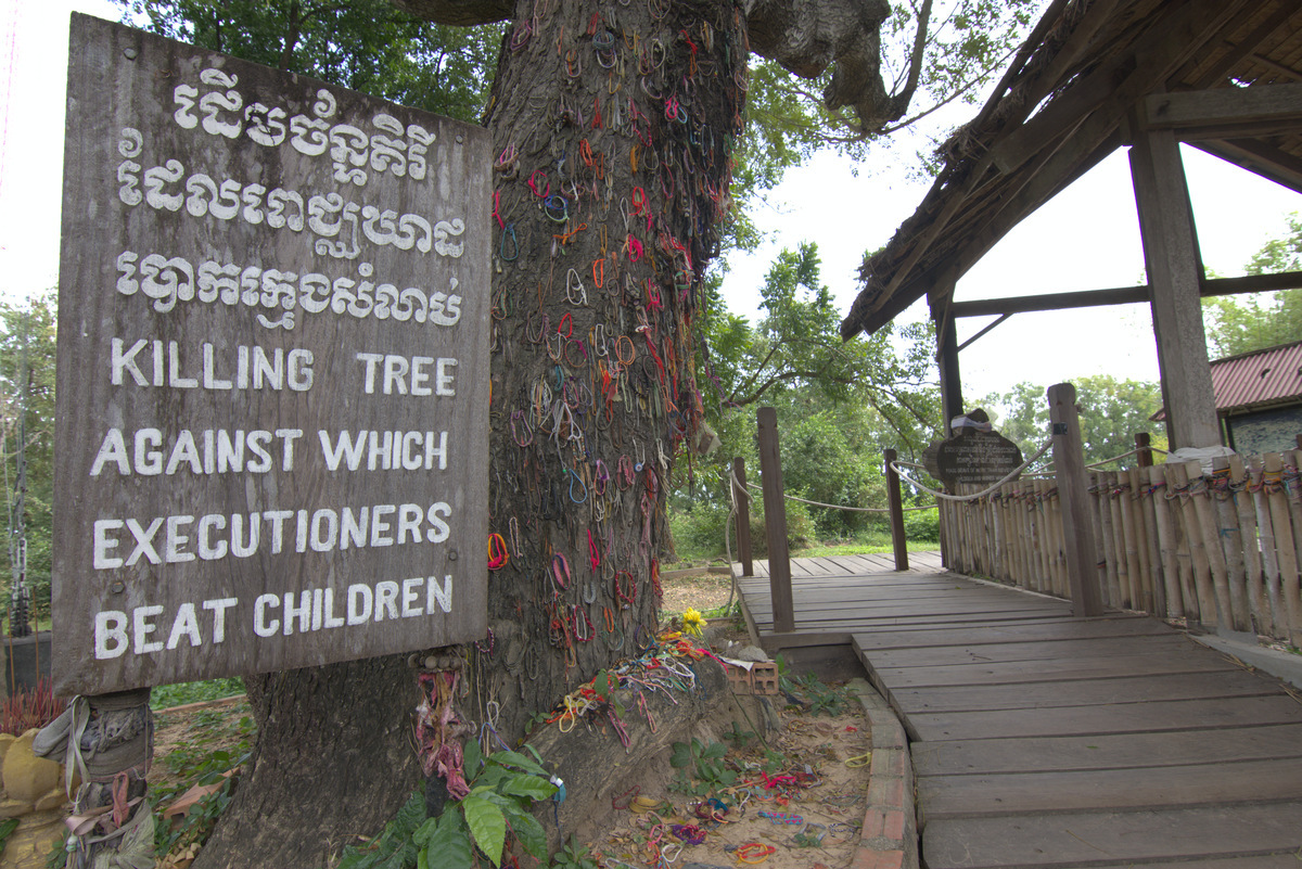 Tree used to kill enfants