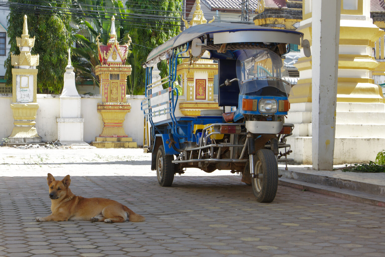 Temple at the Mekong river side