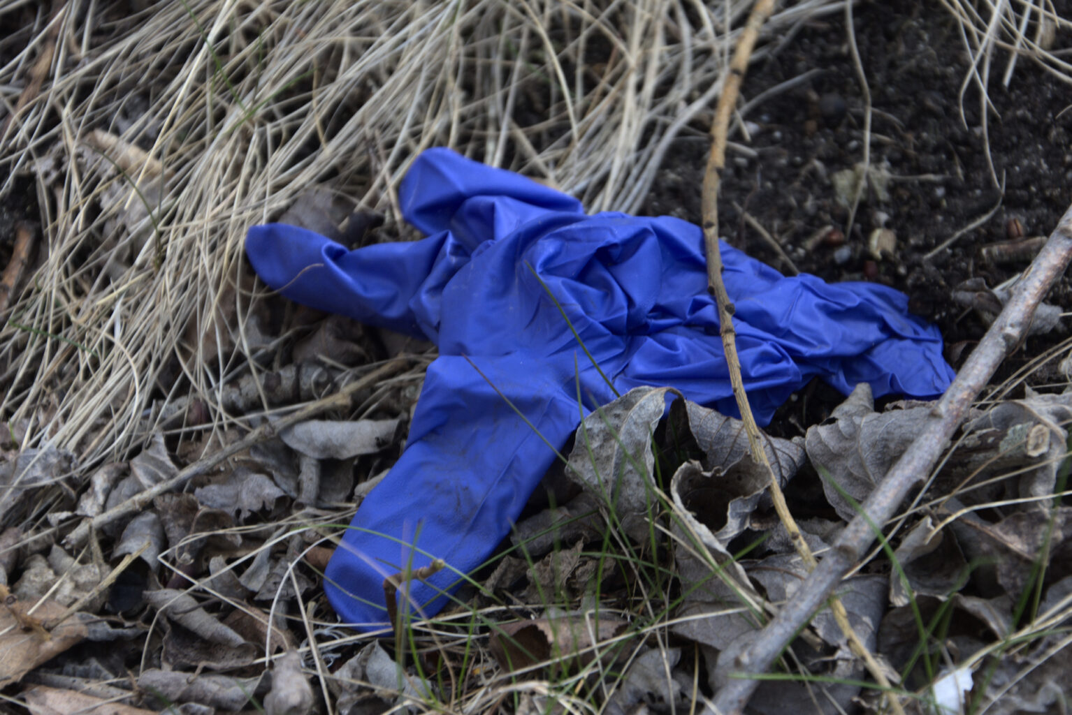 Protective rubber or plastic glove in the grass