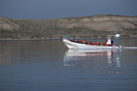 Whale watching