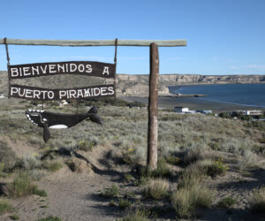 Peninsula Valdez, walking along the beach