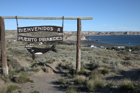Peninsula Valdez, walking along the beach